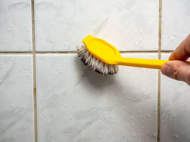Best Home Mold Removal  in Kodi, AK