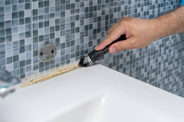 Best Mold Testing  in Kodi, AK
