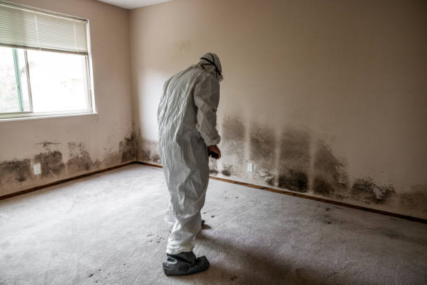 Water Damage Restoration in Kodiak, AK